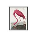 Picture of Vintage Pink Flamingo _GroupedProduct_Rectangle_Portrait_Canvas_Framed_