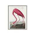 Picture of Vintage Pink Flamingo _GroupedProduct_Rectangle_Portrait_Canvas_Framed_