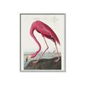 Picture of Vintage Pink Flamingo _GroupedProduct_Rectangle_Portrait_Canvas_Framed_