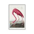 Picture of Vintage Pink Flamingo _GroupedProduct_Rectangle_Portrait_Canvas_Framed_