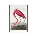 Picture of Vintage Pink Flamingo _GroupedProduct_Rectangle_Portrait_Canvas_Framed_