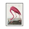 Picture of Vintage Pink Flamingo _GroupedProduct_Rectangle_Portrait_Canvas_Framed_