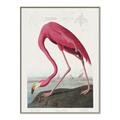 Picture of Vintage Pink Flamingo _GroupedProduct_Rectangle_Portrait_Canvas_Framed_