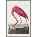 Picture of Vintage Pink Flamingo _GroupedProduct_Rectangle_Portrait_Canvas_Framed_