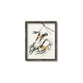 Picture of Two Yellow Warbler Birds _GroupedProduct_Rectangle_Portrait_Canvas_Framed_