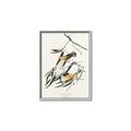 Picture of Two Yellow Warbler Birds _GroupedProduct_Rectangle_Portrait_Canvas_Framed_