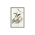 Picture of Two Yellow Warbler Birds _GroupedProduct_Rectangle_Portrait_Canvas_Framed_