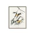 Picture of Two Yellow Warbler Birds _GroupedProduct_Rectangle_Portrait_Canvas_Framed_