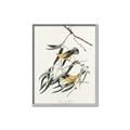 Picture of Two Yellow Warbler Birds _GroupedProduct_Rectangle_Portrait_Canvas_Framed_