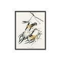 Picture of Two Yellow Warbler Birds _GroupedProduct_Rectangle_Portrait_Canvas_Framed_