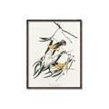 Picture of Two Yellow Warbler Birds _GroupedProduct_Rectangle_Portrait_Canvas_Framed_