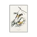 Picture of Two Yellow Warbler Birds _GroupedProduct_Rectangle_Portrait_Canvas_Framed_