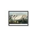 Picture of Vintage Floating White Swan _GroupedProduct_Rectangle_Landscape_Canvas_Framed_