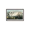 Picture of Vintage Floating White Swan _GroupedProduct_Rectangle_Landscape_Canvas_Framed_