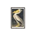 Picture of Vintage White Pelican _GroupedProduct_Rectangle_Portrait_Canvas_Framed_