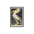 Picture of Vintage White Pelican _GroupedProduct_Rectangle_Portrait_Canvas_Framed_