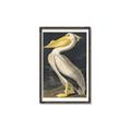 Picture of Vintage White Pelican _GroupedProduct_Rectangle_Portrait_Canvas_Framed_