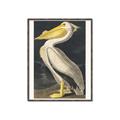 Picture of Vintage White Pelican _GroupedProduct_Rectangle_Portrait_Canvas_Framed_