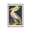 Picture of Vintage White Pelican _GroupedProduct_Rectangle_Portrait_Canvas_Framed_