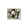 Picture of Black Billed Cuckoo Bird _GroupedProduct_Rectangle_Landscape_Canvas_Framed_