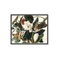 Picture of Black Billed Cuckoo Bird _GroupedProduct_Rectangle_Landscape_Canvas_Framed_