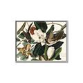 Picture of Black Billed Cuckoo Bird _GroupedProduct_Rectangle_Landscape_Canvas_Framed_