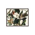 Picture of Black Billed Cuckoo Bird _GroupedProduct_Rectangle_Landscape_Canvas_Framed_