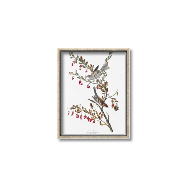 Picture of Vintage Tree Sparrow _GroupedProduct_Rectangle_Portrait_Canvas_Framed_