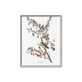 Picture of Vintage Tree Sparrow _GroupedProduct_Rectangle_Portrait_Canvas_Framed_