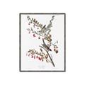 Picture of Vintage Tree Sparrow _GroupedProduct_Rectangle_Portrait_Canvas_Framed_