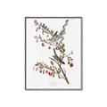 Picture of Vintage Tree Sparrow _GroupedProduct_Rectangle_Portrait_Canvas_Framed_