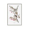 Picture of Vintage Tree Sparrow _GroupedProduct_Rectangle_Portrait_Canvas_Framed_