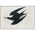 Picture of Vintage Black Sooty Tern _GroupedProduct_Rectangle_Landscape_Canvas_Framed_