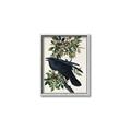 Picture of Raven From Birds of America (1827) _GroupedProduct_Rectangle_Portrait_Canvas_Framed_