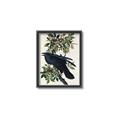 Picture of Raven From Birds of America (1827) _GroupedProduct_Rectangle_Portrait_Canvas_Framed_