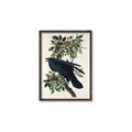 Picture of Raven From Birds of America (1827) _GroupedProduct_Rectangle_Portrait_Canvas_Framed_