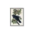 Picture of Raven From Birds of America (1827) _GroupedProduct_Rectangle_Portrait_Canvas_Framed_