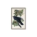 Picture of Raven From Birds of America (1827) _GroupedProduct_Rectangle_Portrait_Canvas_Framed_