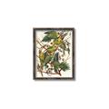 Picture of Vintage Carolina Parrot _GroupedProduct_Rectangle_Portrait_Canvas_Framed_