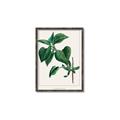 Picture of Nostalgic Green Lilac Leaves _GroupedProduct_Rectangle_Portrait_Canvas_Framed_
