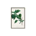 Picture of Nostalgic Green Lilac Leaves _GroupedProduct_Rectangle_Portrait_Canvas_Framed_