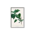 Picture of Nostalgic Green Lilac Leaves _GroupedProduct_Rectangle_Portrait_Canvas_Framed_