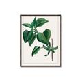 Picture of Nostalgic Green Lilac Leaves _GroupedProduct_Rectangle_Portrait_Canvas_Framed_