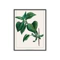 Picture of Nostalgic Green Lilac Leaves _GroupedProduct_Rectangle_Portrait_Canvas_Framed_