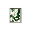Picture of Nostalgic Green Murgrona Leaves _GroupedProduct_Rectangle_Portrait_Canvas_Framed_