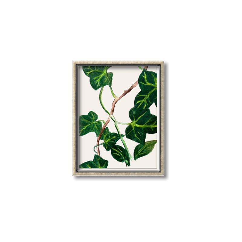 Picture of Nostalgic Green Murgrona Leaves _GroupedProduct_Rectangle_Portrait_Canvas_Framed_