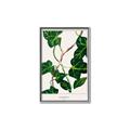 Picture of Nostalgic Green Murgrona Leaves _GroupedProduct_Rectangle_Portrait_Canvas_Framed_