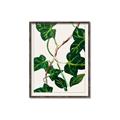 Picture of Nostalgic Green Murgrona Leaves _GroupedProduct_Rectangle_Portrait_Canvas_Framed_