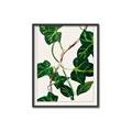 Picture of Nostalgic Green Murgrona Leaves _GroupedProduct_Rectangle_Portrait_Canvas_Framed_