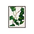 Picture of Nostalgic Green Murgrona Leaves _GroupedProduct_Rectangle_Portrait_Canvas_Framed_
